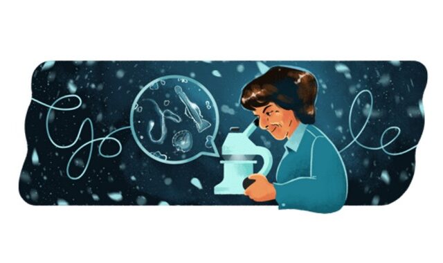 Ángeles Alvariño: Η Google τιμά doodle τη σπουδαία Ισπανίδα βιολόγο