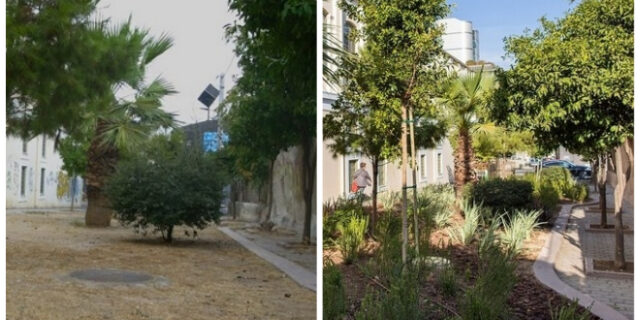 Πράσινες πινελιές στο κέντρο της πόλης – Τα Πάρκα Τσέπης από την P&G εξαπλώνονται και ομορφαίνουν την Αθήνα
