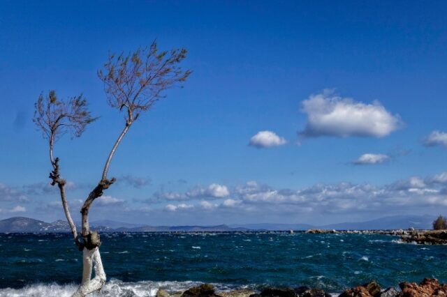 Καιρός: Βοριάδες και πτώση θερμοκρασίας από τα μέσα της εβδομάδας