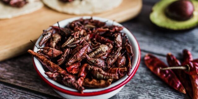 Ουγκάντα: Αντιμέτωποι με φυλακή γιατί πουλούσαν τηγανητές ακρίδες μέσα σε αεροπλάνο