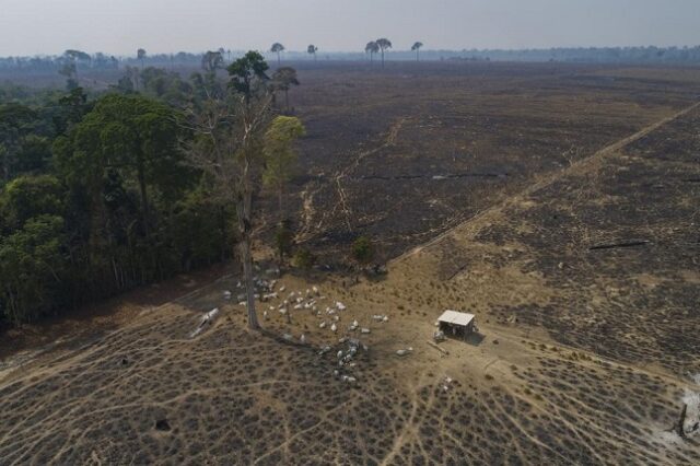 Αμαζόνιος: Εφιάλτης για ολόκληρο τον πλανήτη η καταστροφή του