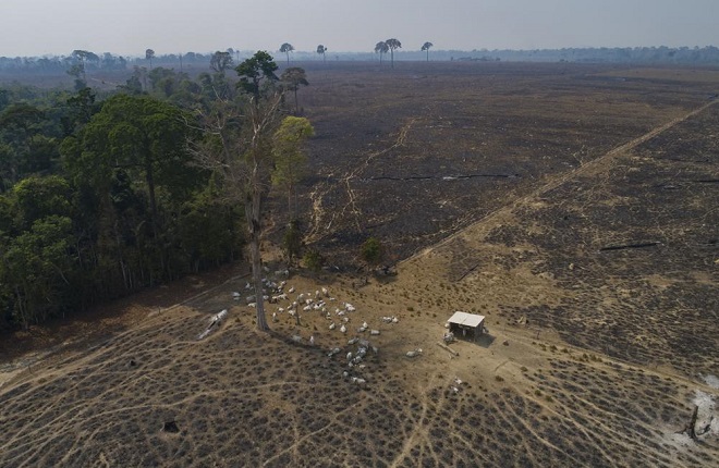 Αμαζόνιος: Εφιάλτης για ολόκληρο τον πλανήτη η καταστροφή του