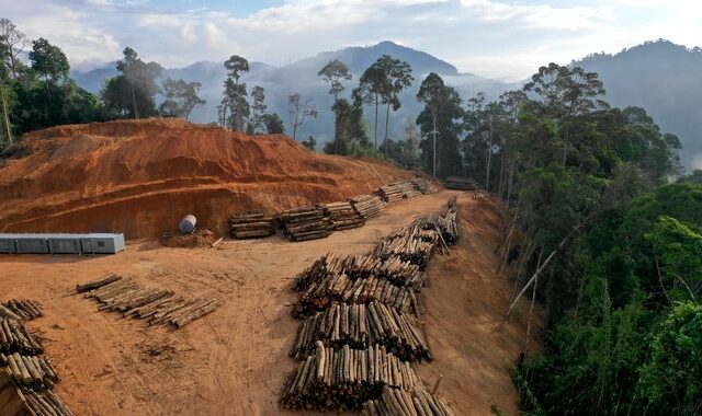 COP26: Δέσμευση για τερματισμό της αποψίλωσης των δασών ως το 2030