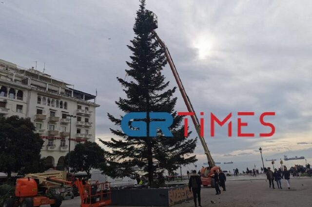 Θεσσαλονίκη: Στήθηκε χριστουγεννιάτικο δέντρο ύψους 18 μέτρων