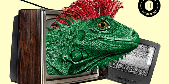 Μήτσος, το ιγκουάνα: Ο Σερβετάλης με παράτησε στη μέση του δρόμου