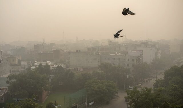 Ινδία: Επικίνδυνο τοξικό νέφος έχει καλύψει το Νέο Δελχί