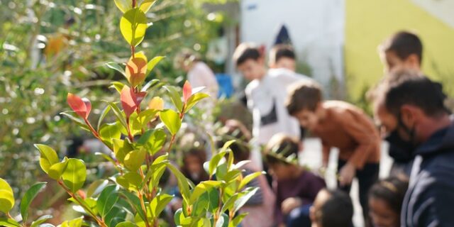 Η Nova και ο Δήμος Αθηναίων ενώνουν τις δυνάμεις τους για μια Αθήνα πιο πράσινη