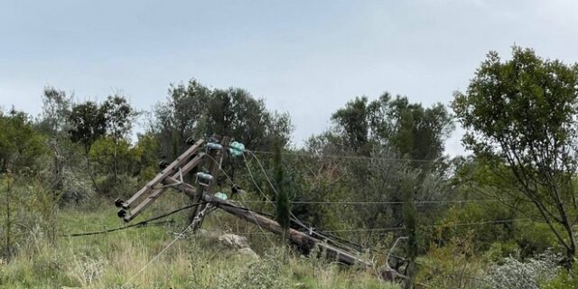 Κακοκαιρία: Μεγάλες καταστροφές στην Ηλεία – Ξεριζώθηκαν δέντρα, παρασύρθηκαν οχήματα