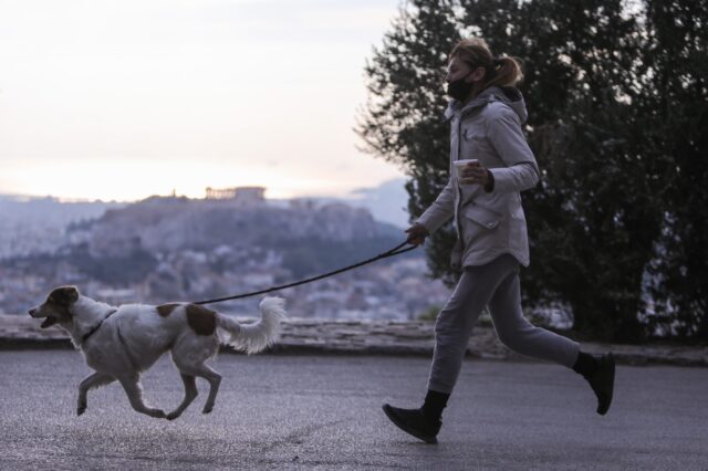 Τι κάνουμε αν ο σκύλος μας φάει φόλα;