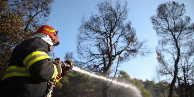 Χωρίς ενεργό μέτωπο η φωτιά στην Τήνο