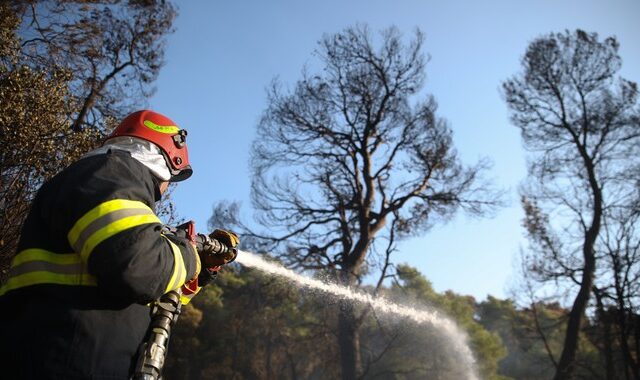 Χωρίς ενεργό μέτωπο η φωτιά στην Τήνο