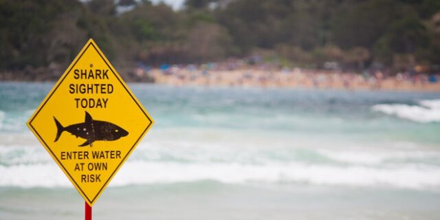 Αυστραλία: Αγνοείται κολυμβητής μετά από επίθεση δύο καρχαριών