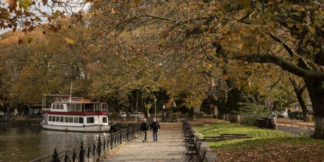 Ο Β’ Παγκόσμιος Πόλεμος “σκοτώνει” τα πλατάνια της Λίμνης Ιωαννίνων