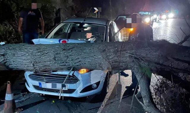 Πύργος: Κορμός δέντρου έπεσε σε διερχόμενο αυτοκίνητο – Από θαύμα σώθηκε ο οδηγός