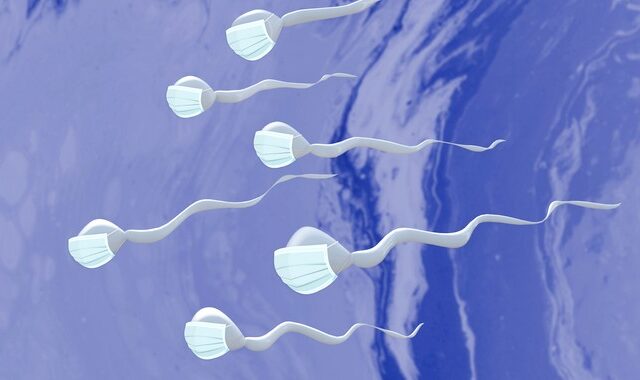 Κορονοϊός: Επηρεάζει την ποιότητα του σπέρματος – Πόσο πρέπει να ανησυχούν οι άντρες που νοσούν