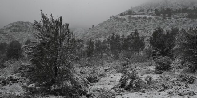 Καιρός: Βοριάδες, πτώση της θερμοκρασίας και χιόνια στα ορεινά