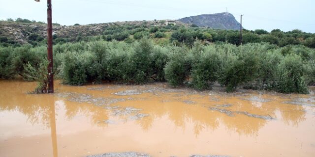 Τραγωδία στις Σέρρες: Νεκρή και η αγνοούμενη γυναίκα που παρασύρθηκε από χείμαρρο