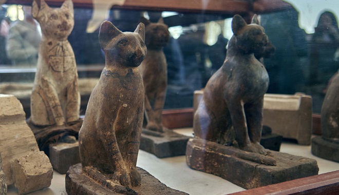Πώς οι Πέρσες κατατρόπωσαν τους Αιγύπτιους με όπλα τους τις γάτες