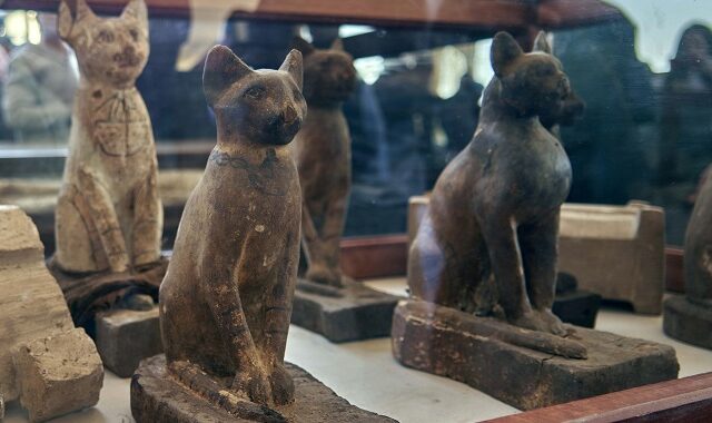 Πώς οι Πέρσες κατατρόπωσαν τους Αιγύπτιους με όπλα τους τις γάτες