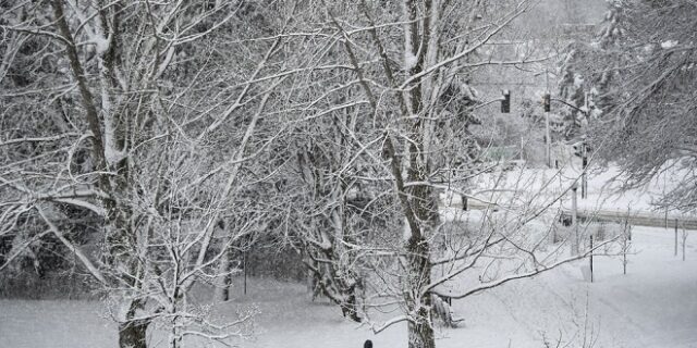 Καναδάς: Τέσσερις μετανάστες νεκροί από το κρύο στα σύνορα – Ανάμεσά τους κι ένα βρέφος