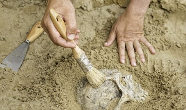 Ένα από τα παλαιότερα ανθρώπινα απολιθώματα γέρασε ακόμα περισσότερο