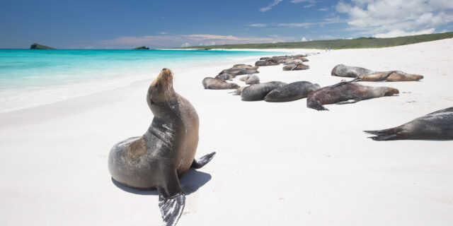 Τα 10 καλύτερα ταξίδια για το 2022