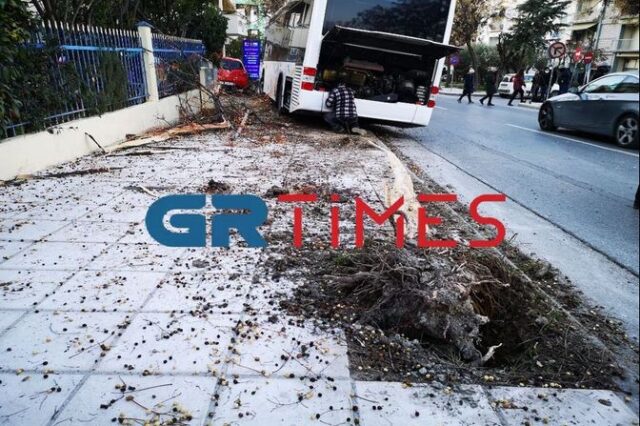 Θεσσαλονίκη: Ακυβέρνητο λεωφορείο συγκρούστηκε με ταξί κι έπεσε πάνω σε δέντρο – Ένας τραυματίας