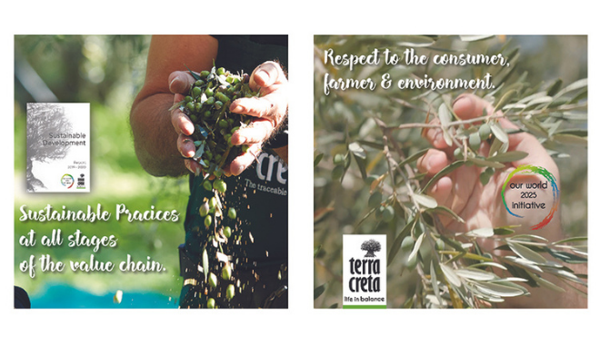 Ο Απολογισμός Βιωσιμότητας 2019-2020  της Terra Creta αποτυπώνει τη δέσμευσή της για ένα βιώσιμο μέλλον, μέσα από έναν ισορροπημένο διατροφικά τρόπο ζωής.