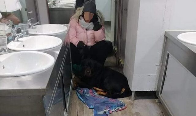 Βόλος: Εφιαλτικό ταξίδι στην τουαλέτα πλοίου λόγω σκύλου