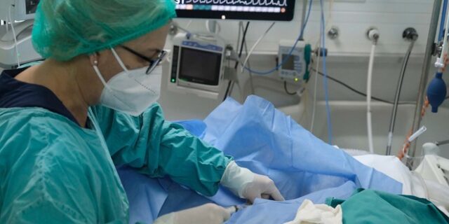 Κορονοϊός: Ρεκόρ με 50.126 κρούσματα σήμερα στην Ελλάδα – 61 νεκροί και 619 διασωληνωμένοι