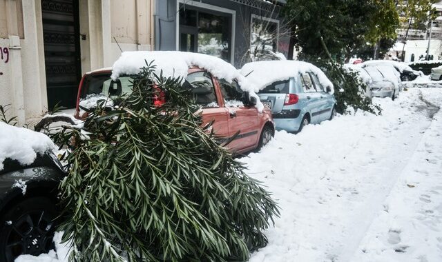 Κακοκαιρία Ελπίδα: Χωρίς ρεύμα για τρίτο βράδυ – “Έχουμε βγάλει τα τρόφιμα στο μπαλκόνι”