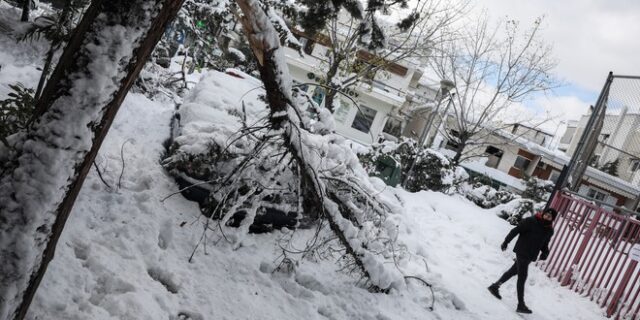 Νεκρή ηλικιωμένη στην Ανθούσα: Αδύνατη η πρόσβαση στο σπίτι της εδώ και 24 ώρες