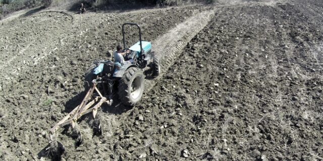 Κομισιόν: Ενέκρινε ελληνικό πρόγραμμα 31,5 εκατ. ευρώ για τη στήριξη αγροτικών παραγωγών