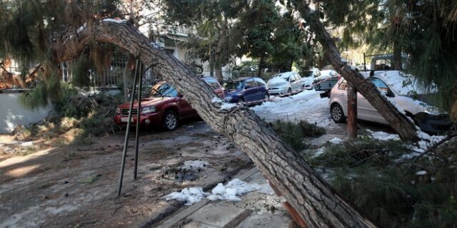 Κακοκαιρία Ελπίδα: Αποζημιώσεις οχημάτων από πτώση δέντρων στον Δήμο Ηλιούπολης