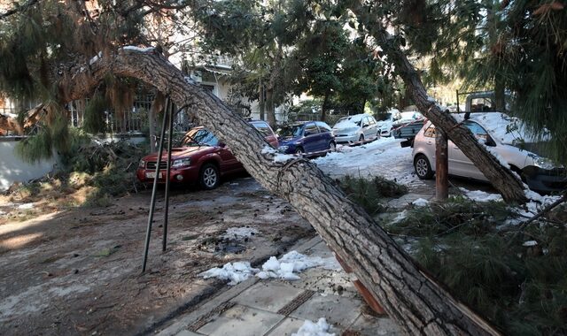 Κακοκαιρία Ελπίδα: Αποζημιώσεις οχημάτων από πτώση δέντρων στον Δήμο Ηλιούπολης