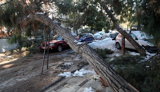 Κακοκαιρία Ελπίδα: Αποζημιώσεις οχημάτων από πτώση δέντρων στον Δήμο Ηλιούπολης