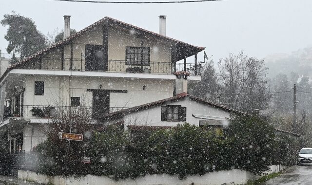 Καιρός: Συνεχίζεται η κακοκαιρία “Φίλιππος” με πυκνές χιονοπτώσεις στην ανατολική χώρα