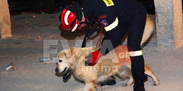 Εύβοια: Νεκρός με τραύματα στο κεφάλι εντοπίστηκε 40χρονος αγνοούμενος