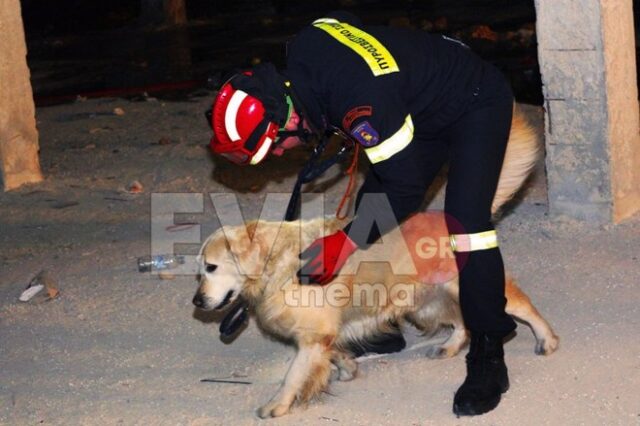 Εύβοια: Νεκρός με τραύματα στο κεφάλι εντοπίστηκε 40χρονος αγνοούμενος