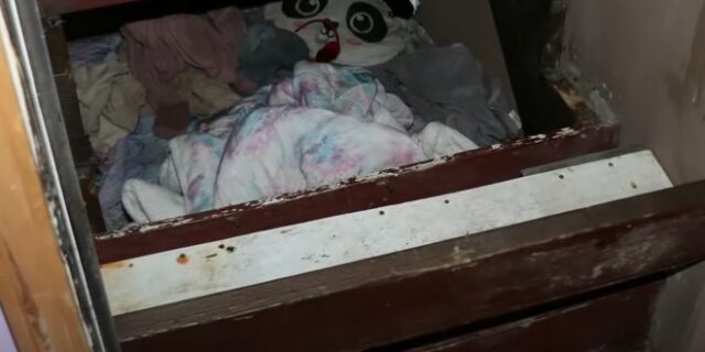 ΗΠΑ: Επι δύο χρόνια έκρυβαν 6χρονη σε μυστικό δωμάτιο κάτω από σκάλα