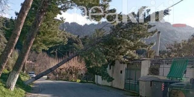 Κρήτη: Καταστροφές από ισχυρούς ανέμους στην Ιεράπετρα