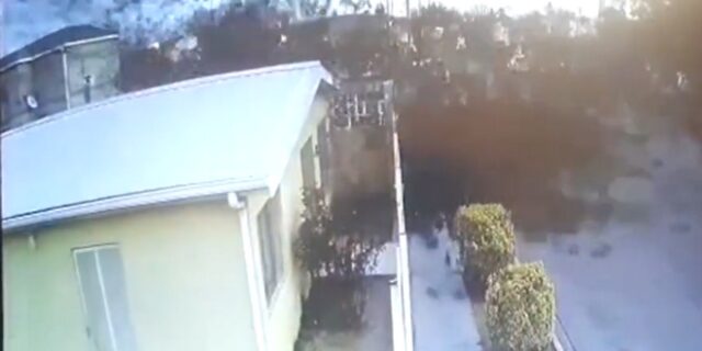 Μυστήριο στο Μεξικό: Δεκάδες κοτσύφια κάνουν βουτιά θανάτου και κανείς δε ξέρει γιατί