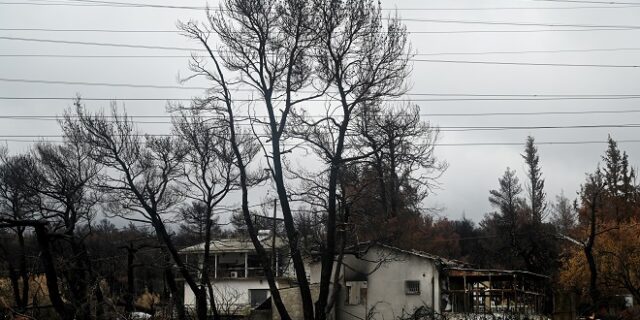 Eurobank: Πρόγραμμα αποκατάστασης στην πυρόπληκτη Αρχαία Ολυμπία