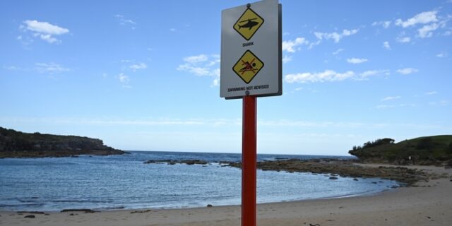 Αυστραλία: Αυτός είναι ο 35χρονος που τον κατασπάραξε καρχαρίας – Ανατριχιαστικές λεπτομέρειες