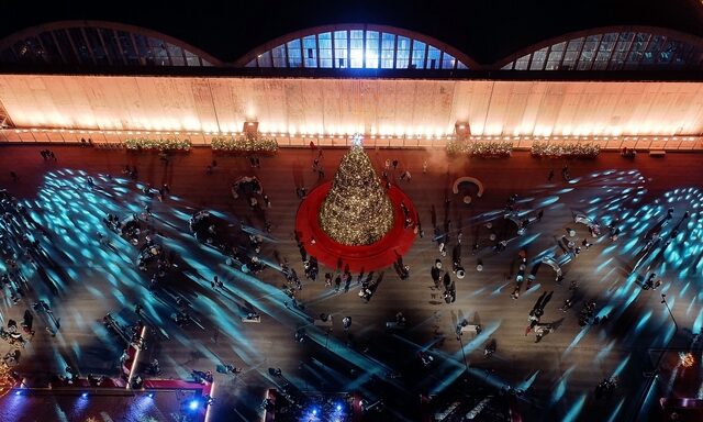 Τα δέντρα του εντυπωσιακού Χριστουγεννιάτικου Δέντρου του                                  The Ellinikon Experience Park βρίσκουν τη νέα τους κατοικία
