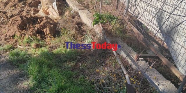 Συγκλονιστική μαρτυρία για το νεκρό βρέφος: “Το βρήκα γυμνό πάνω στο χόρτο”