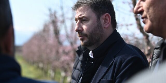 Ανδρουλάκης: “Ο κ. Μητσοτάκης δεν θέλει να συγκρουστεί με τα συμφέροντα”