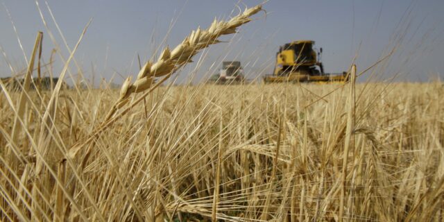 Γερμανία: Διεθνής Διάσκεψη για την επισιτιστική κρίση στο Βερολίνο