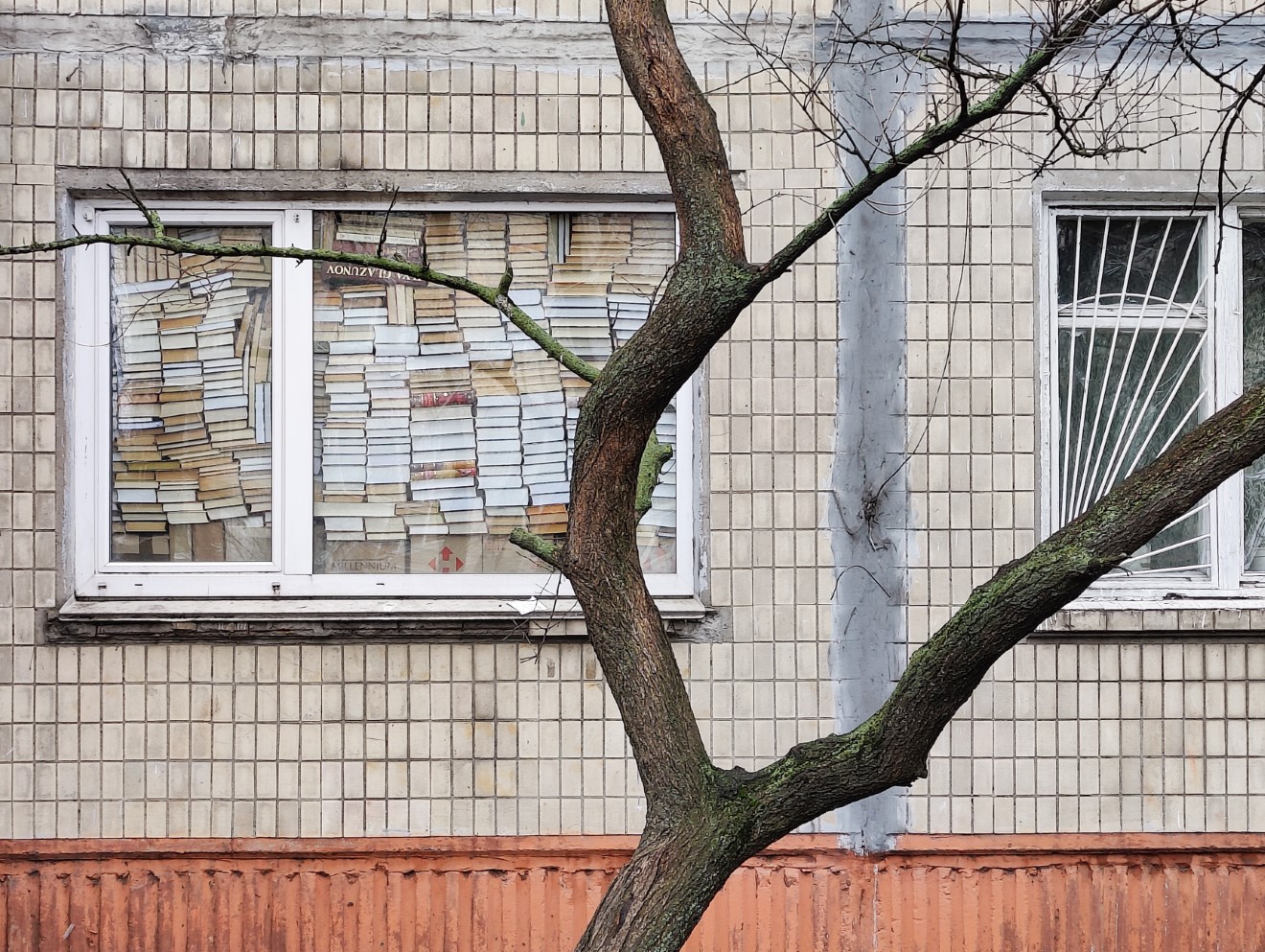 Πώς οι Ουκρανοί χρησιμοποιούν τη λογοτεχνία ως τρόπο άμυνας