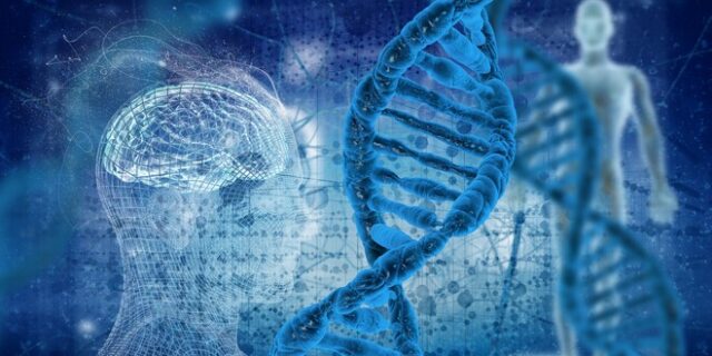 Στο “φως” όλο το DNA – Αποκωδικοποιήθηκε, για πρώτη φορά, το ανθρώπινο γονιδίωμα